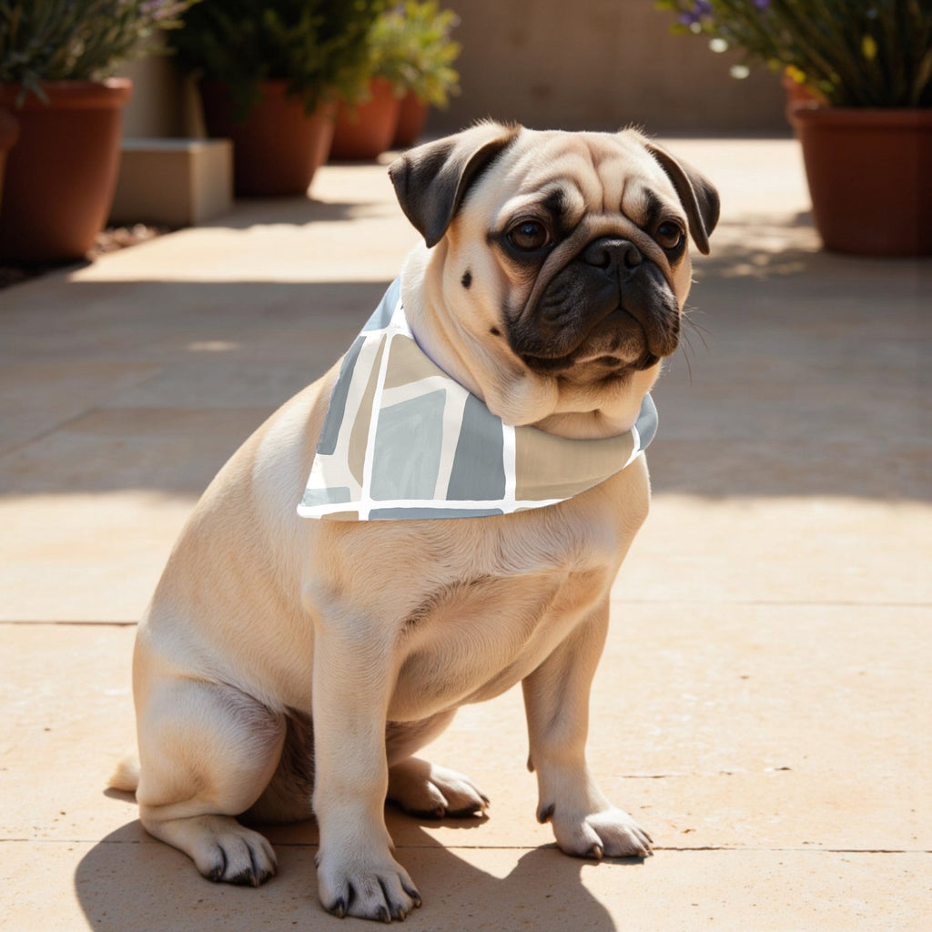 Pack 2 unidades bandana para mascotas Modelo 17