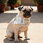 Pack 2 unidades bandana para mascotas Modelo 17