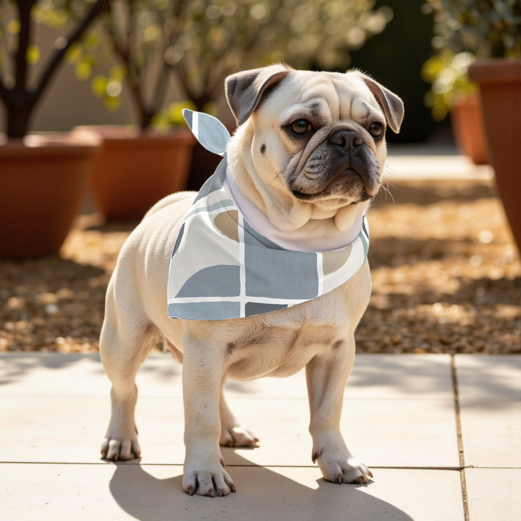 Pack 2 unidades bandana para mascotas Modelo 17