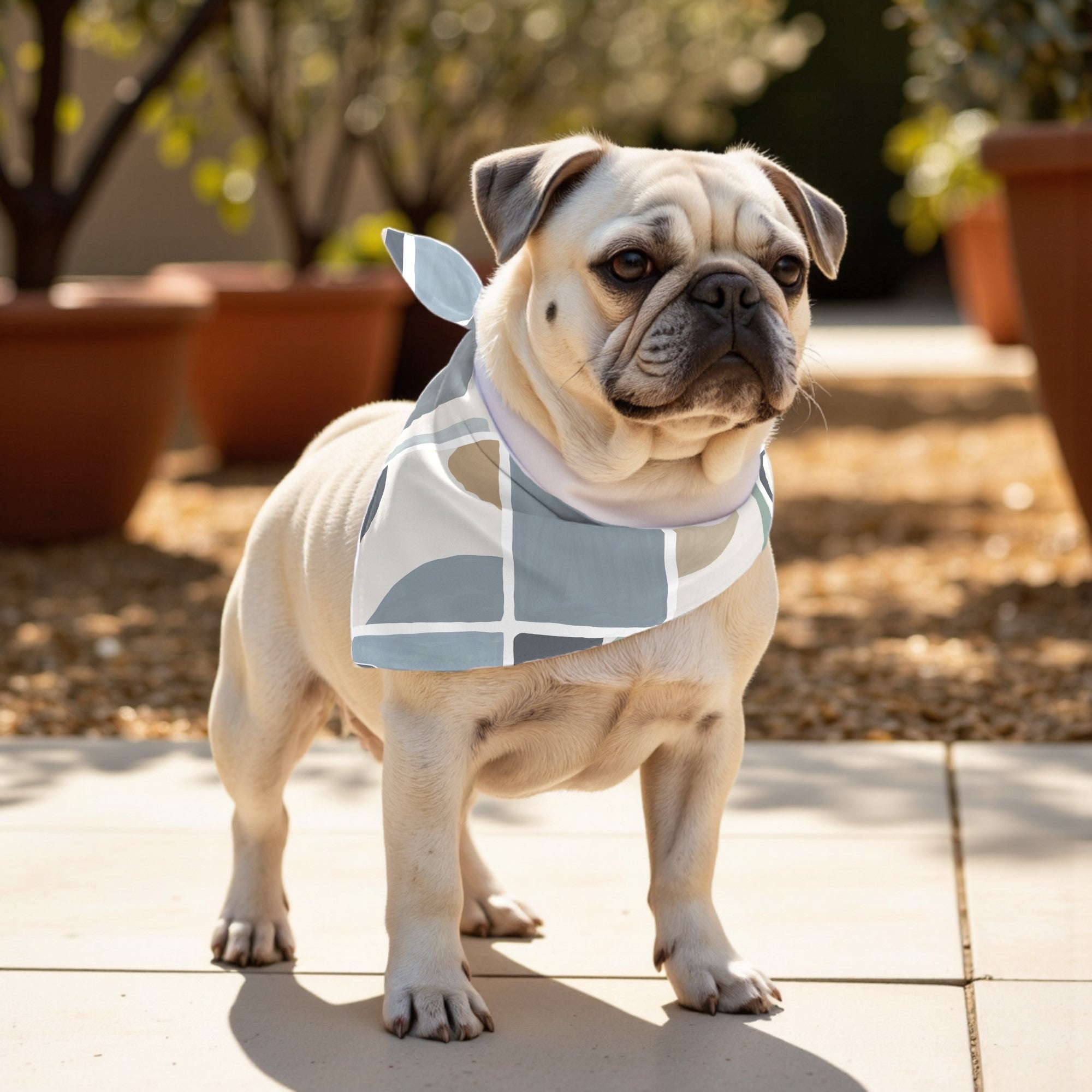 Pack 2 unidades bandana para mascotas Modelo 17