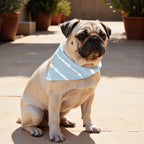 Pack 2 unidades bandana para mascotas Modelo 18