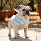 Pack 2 unidades bandana para mascotas Modelo 18