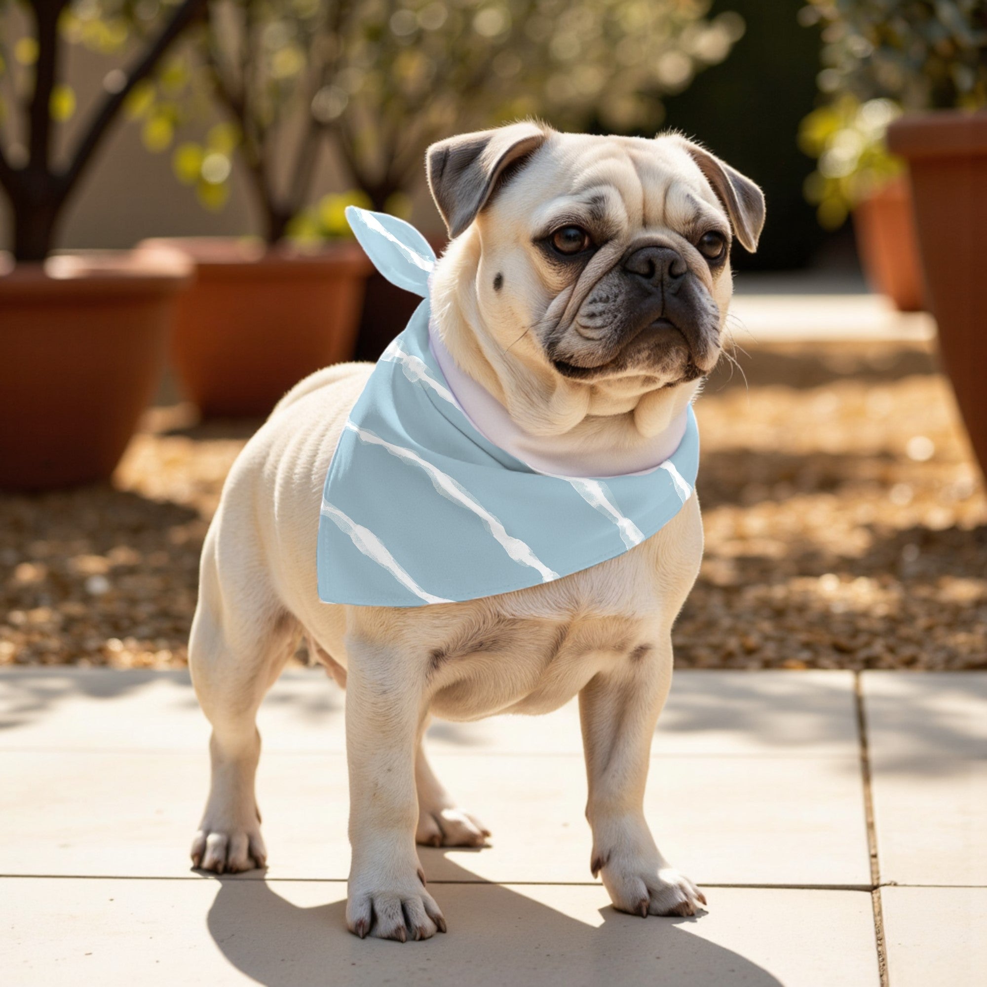 Pack 2 unidades bandana para mascotas Modelo 18