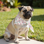 Pack 2 unidades bandana para mascotas Modelo 2