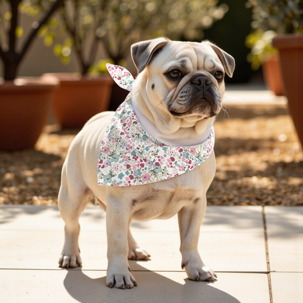 Pack 2 unidades bandana para mascotas Modelo 2