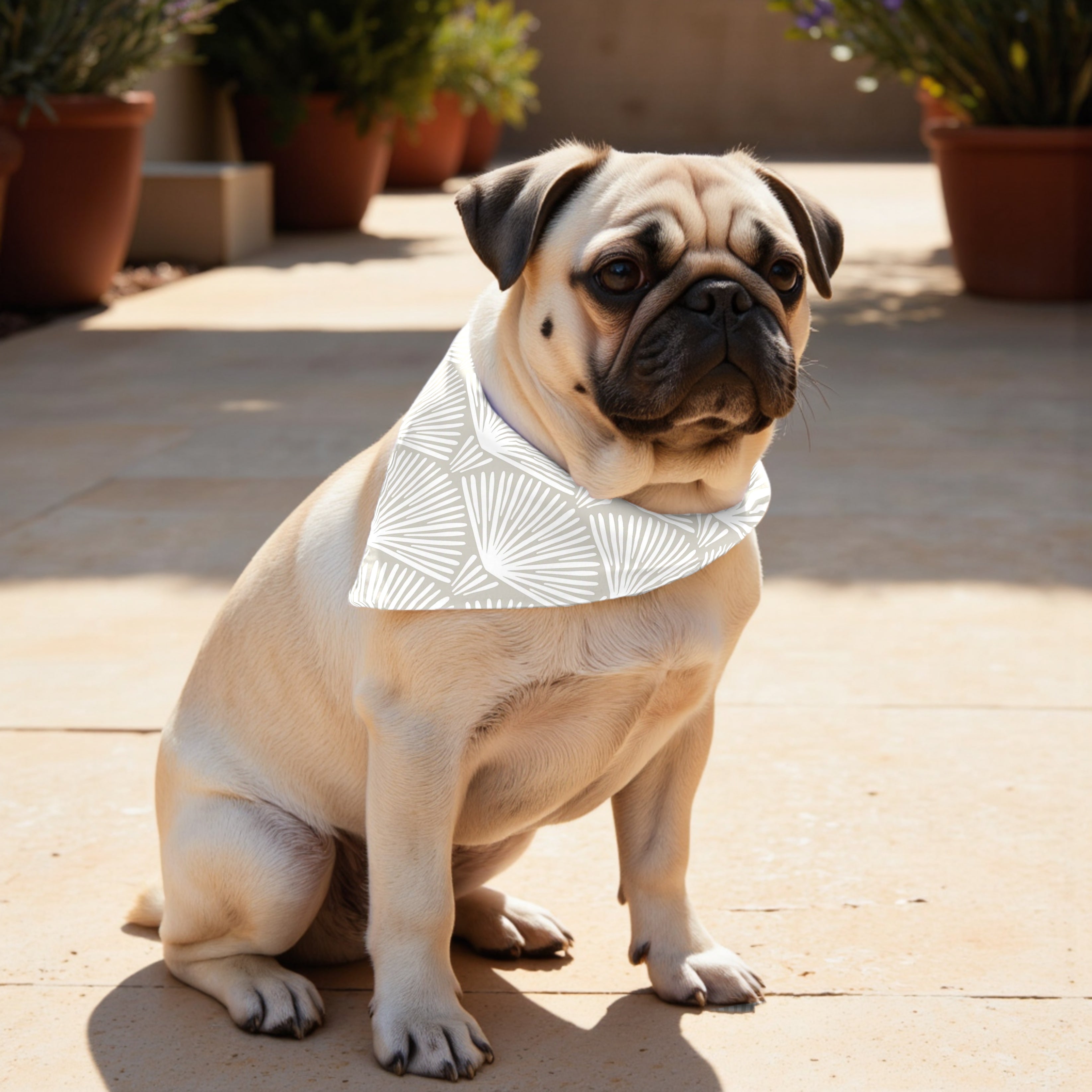 Pack 2 unidades bandana para mascotas Modelo 20