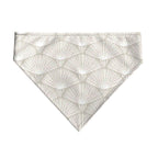 Pack 2 unidades bandana para mascotas Modelo 20