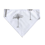 Pack 2 unidades bandana para mascotas Modelo 21