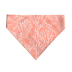 Pack 2 unidades bandana para mascotas Modelo 22