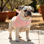 Pack 2 unidades bandana para mascotas Modelo 22