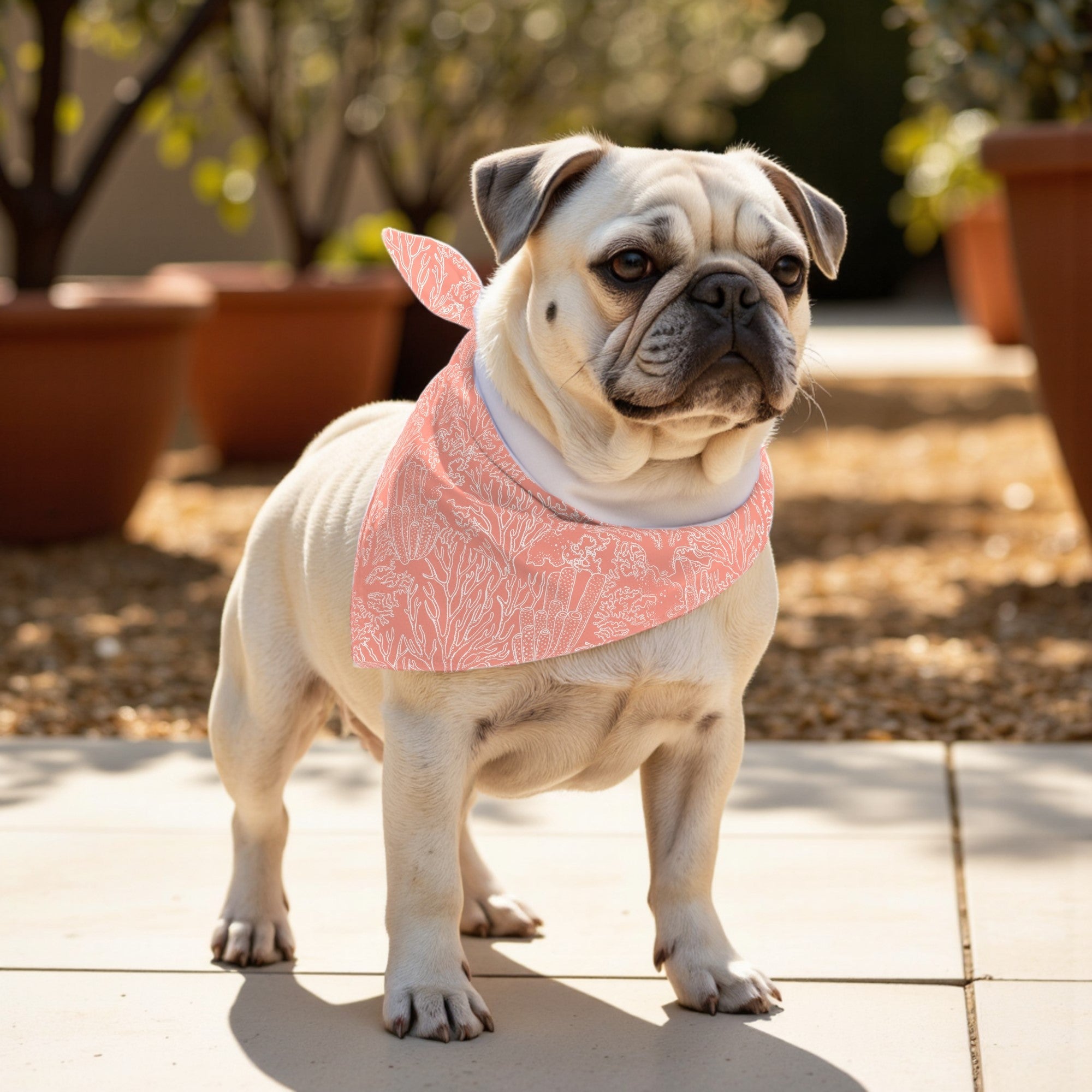 Pack 2 unidades bandana para mascotas Modelo 22