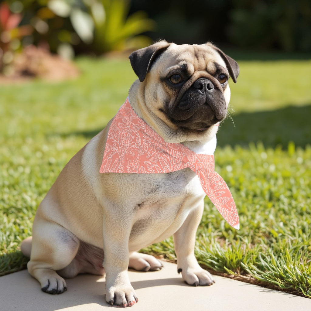 Pack 2 unidades bandana para mascotas Modelo 22