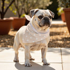 Pack 2 unidades bandana para mascotas Modelo 23