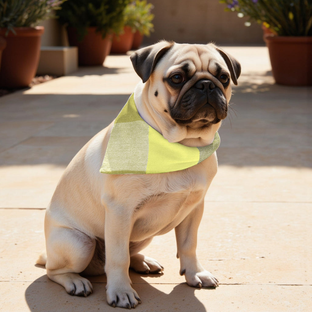 Pack 2 unidades bandana para mascotas Modelo 24