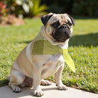 Pack 2 unidades bandana para mascotas Modelo 24