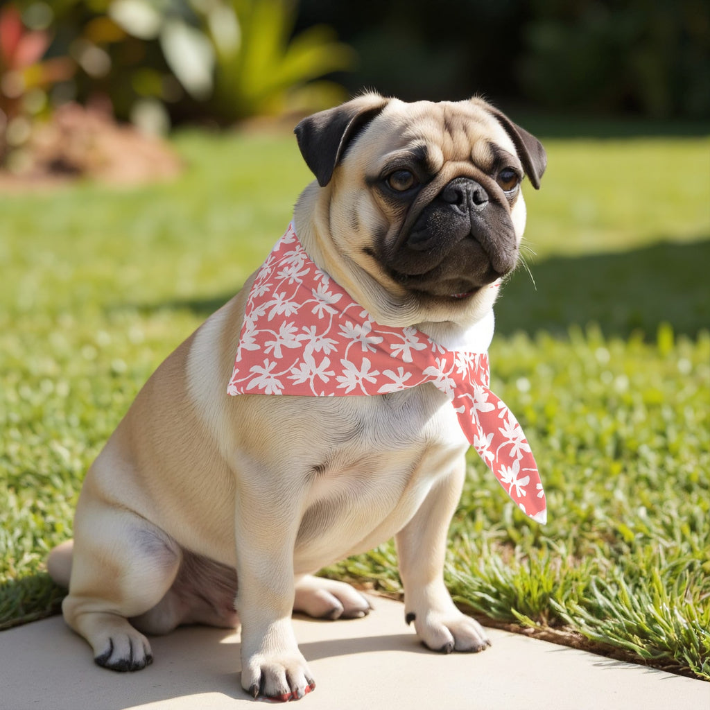 Pack 2 unidades bandana para mascotas Modelo 25