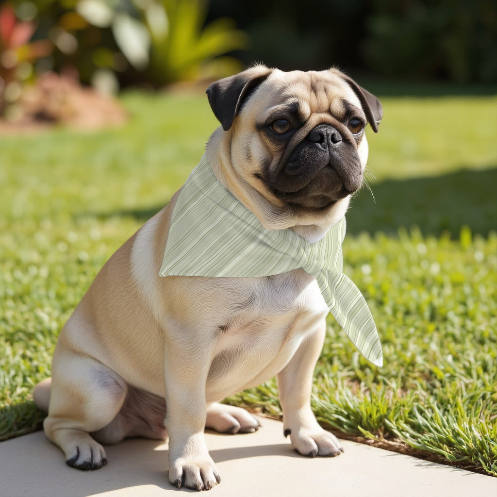 Pack 2 unidades bandana para mascotas Modelo 26