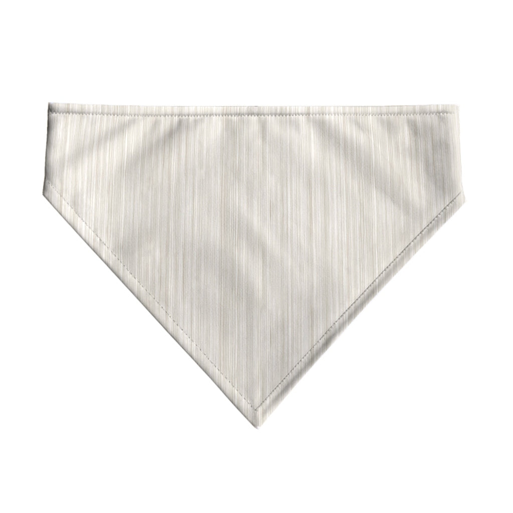 Pack 2 unidades bandana para mascotas Modelo 27