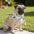 Pack 2 unidades bandana para mascotas Modelo 3