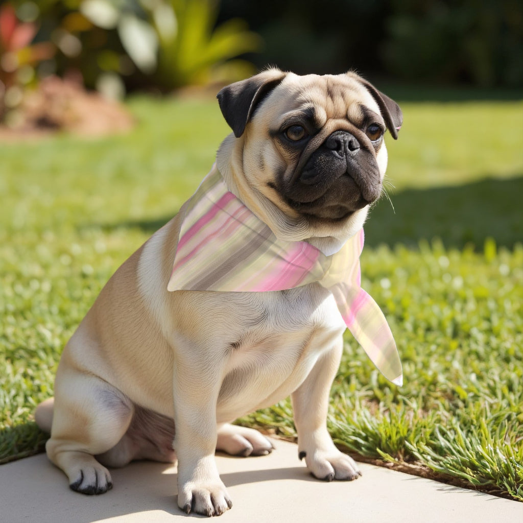 Pack 2 unidades bandana para mascotas Modelo 7