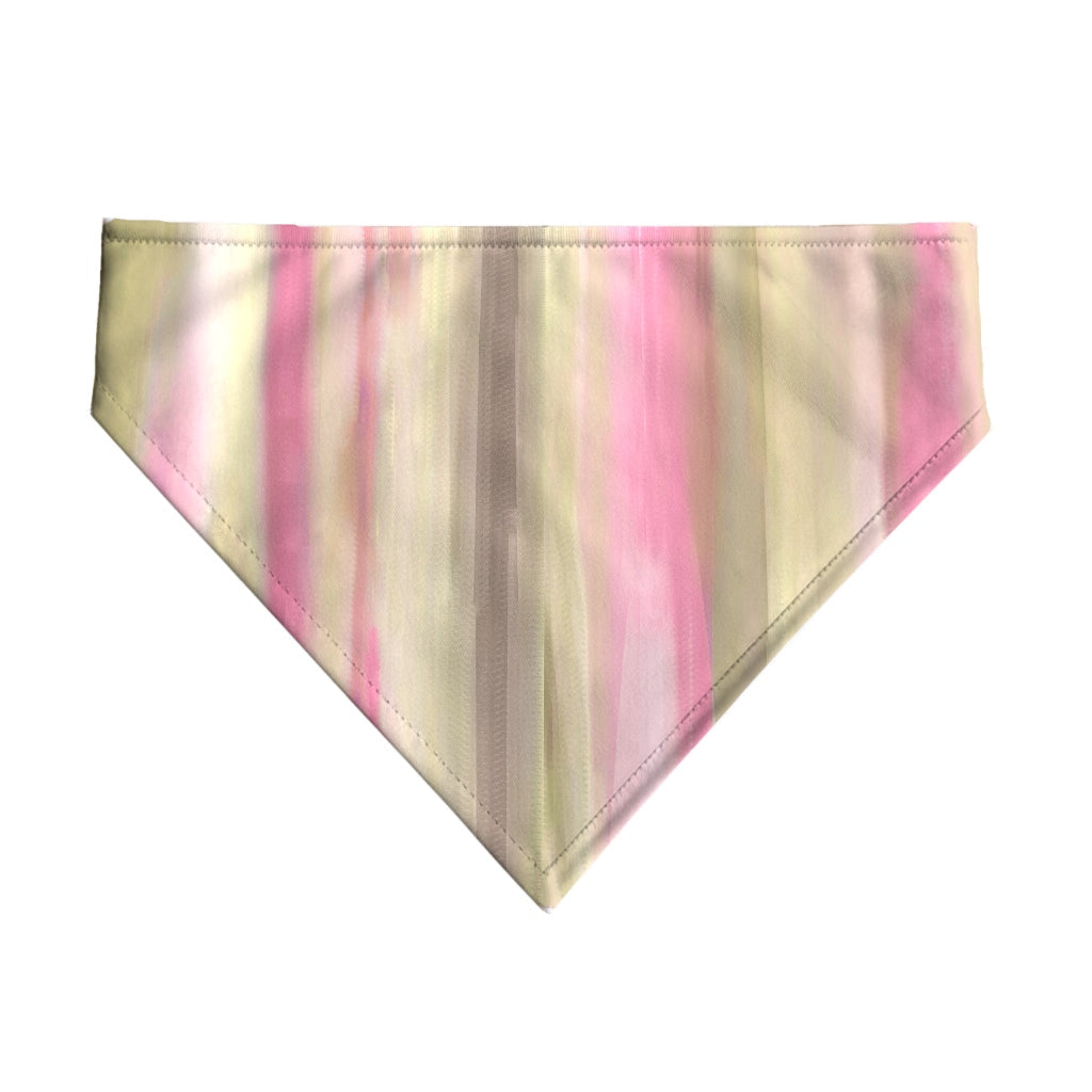 Pack 2 unidades bandana para mascotas Modelo 7