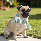 Pack 2 unidades bandana para mascotas Modelo 8