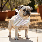 Pack 2 unidades bandana para mascotas Modelo 9