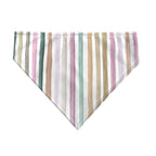 Pack 2 unidades bandana para mascotas Modelo 9