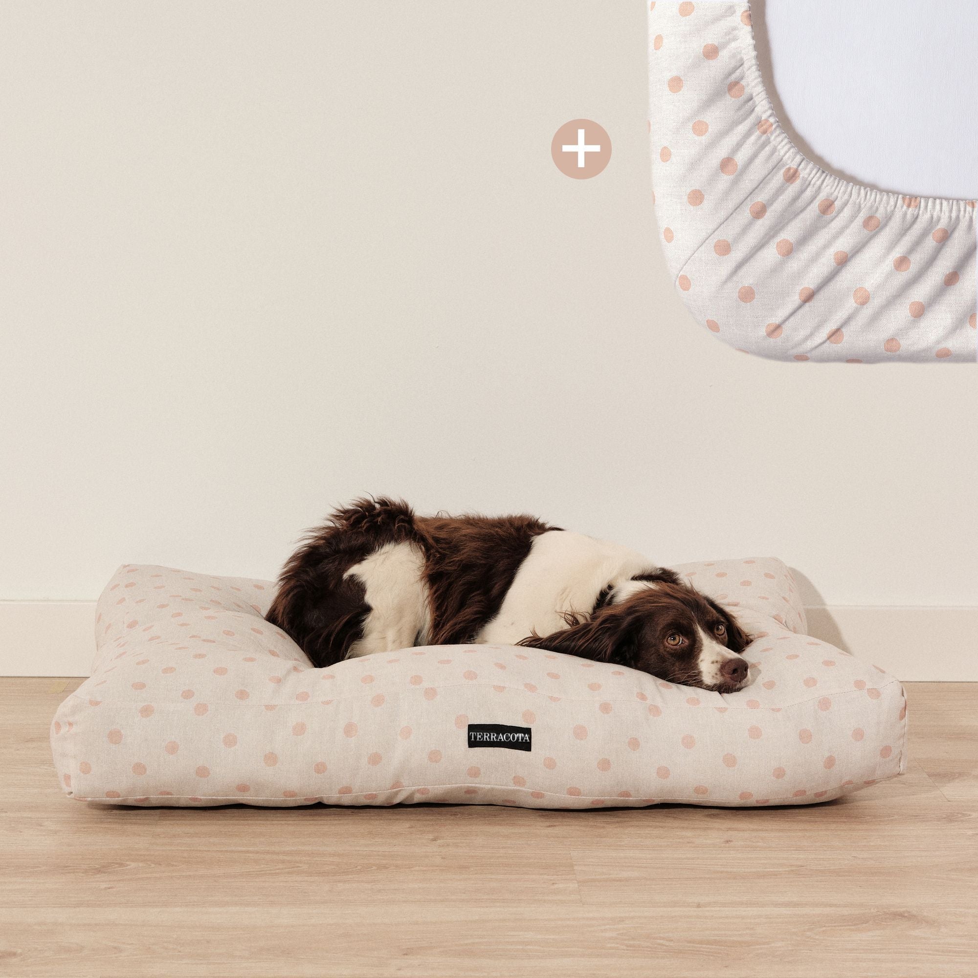 Pack cama para mascota + Protector antimanchas 0120-178