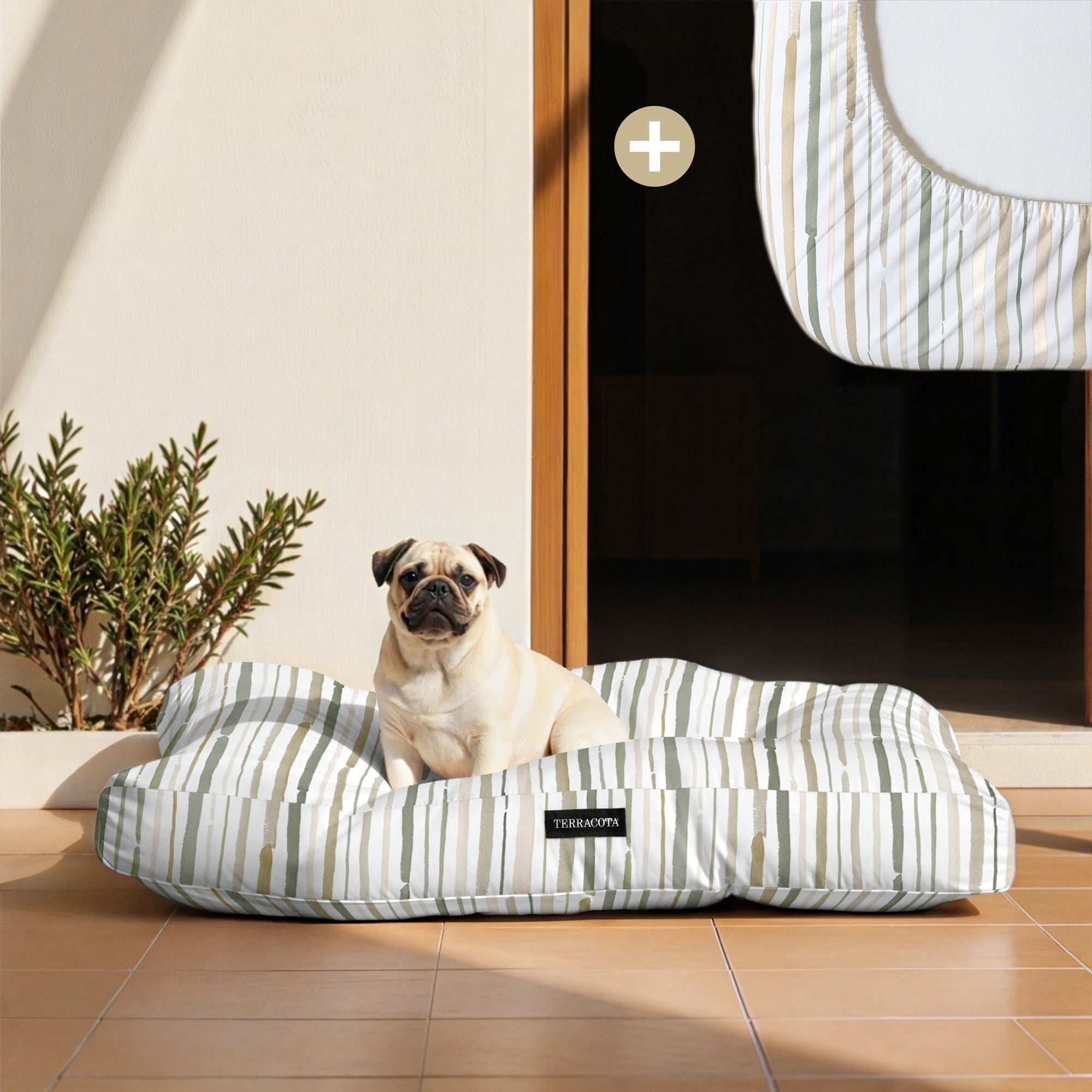 Pack cama para mascota + Protector antimanchas BOCAIRENT C