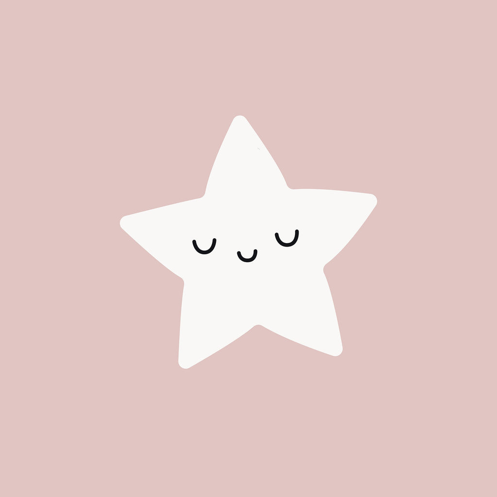 Housse de couette 100% coton Nadir Rose