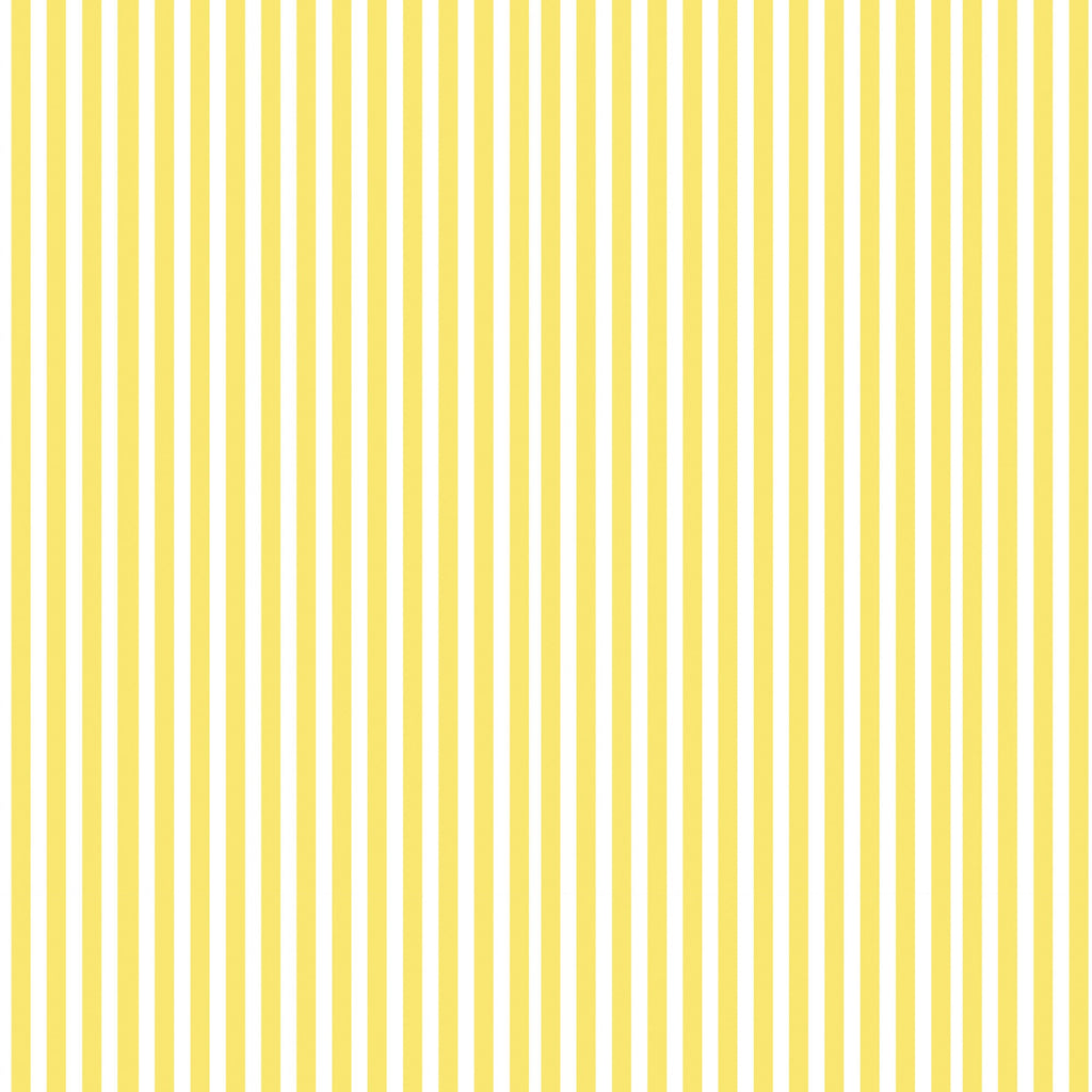 Ledit drap housse 100% coton