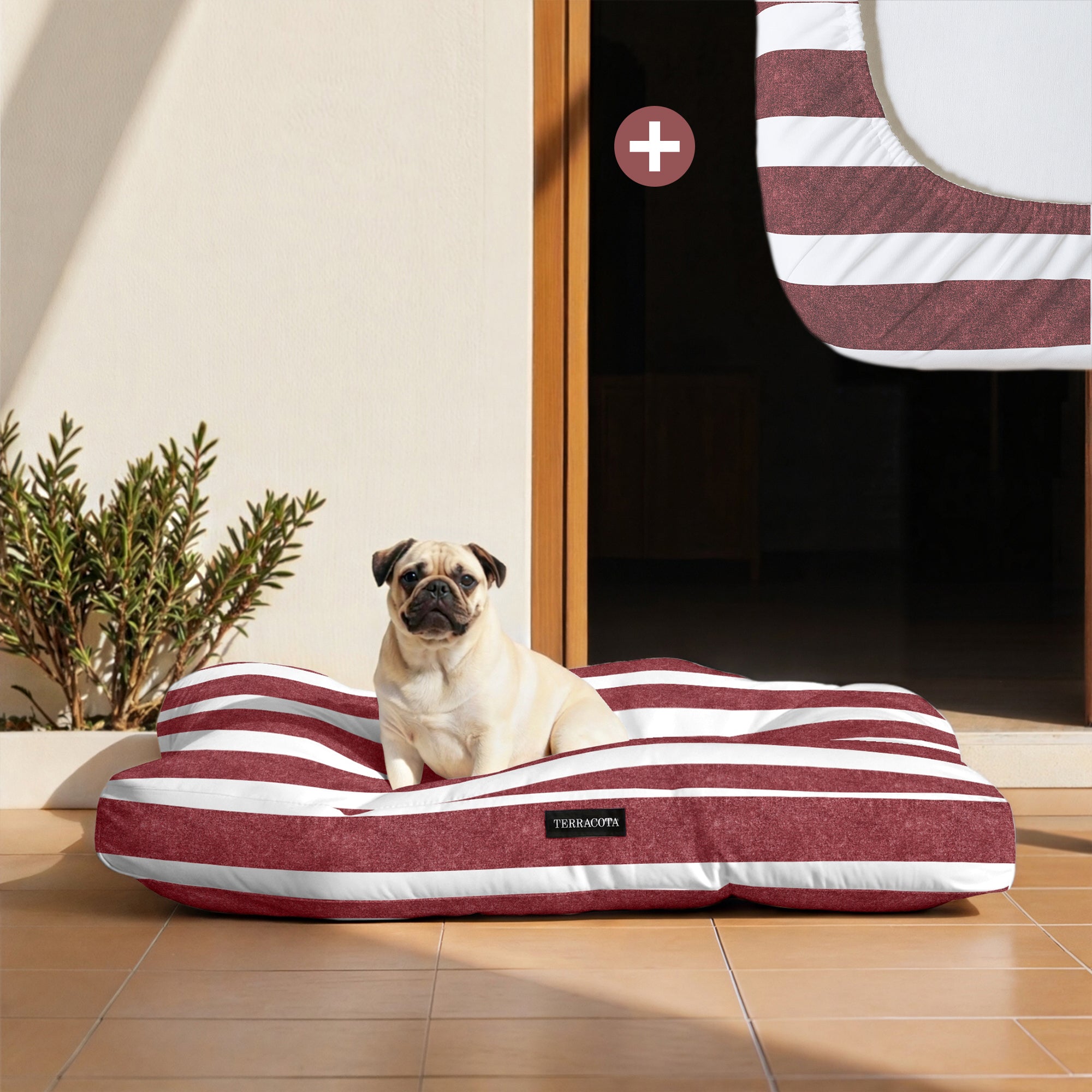 Pack cama para mascota + Protector antimanchas TORROX GRANDE