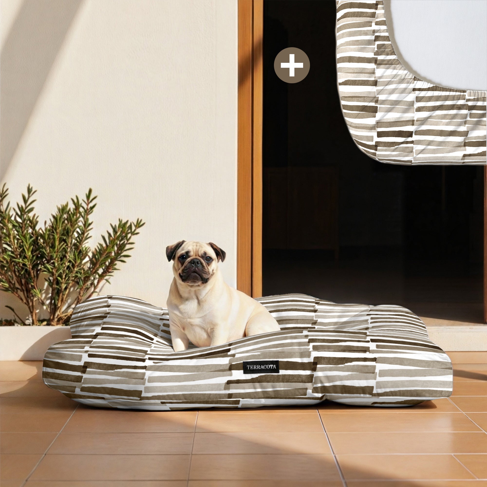 Pack cama para mascota + Protector antimanchas XALÓ C