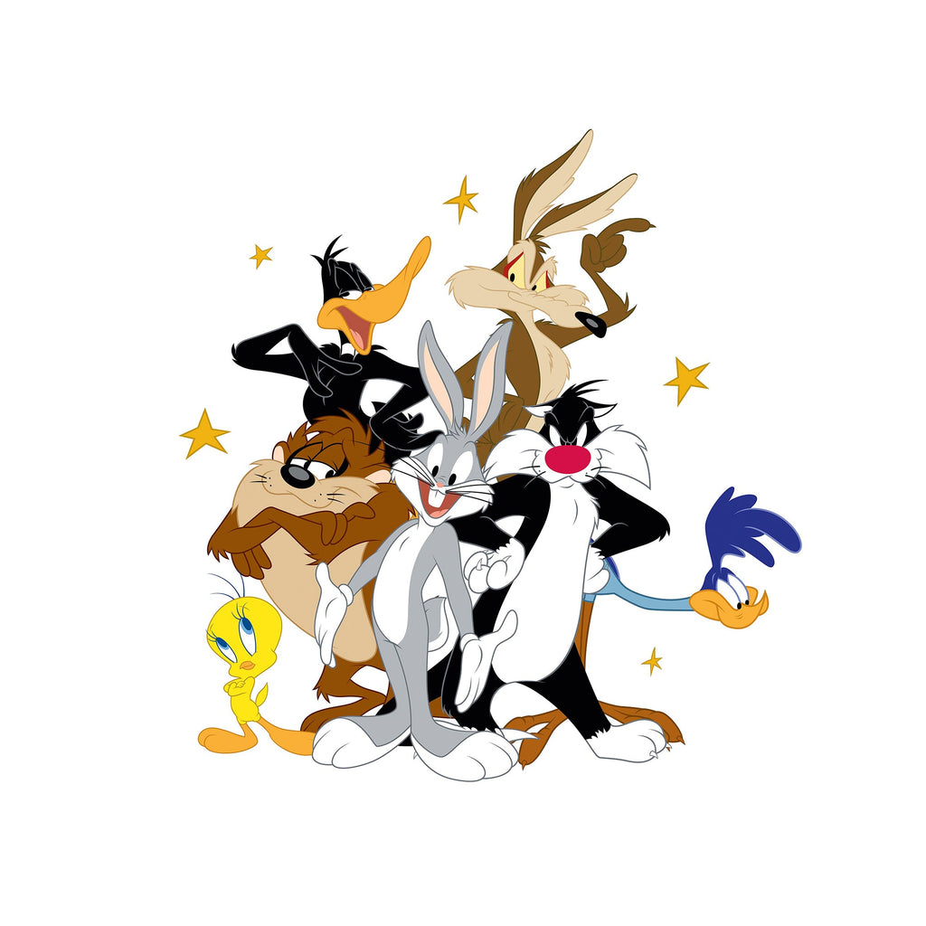 Looney Friends 100% cotton duvet cover