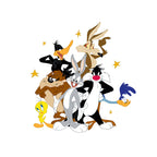 Looney Friends 100% cotton duvet cover