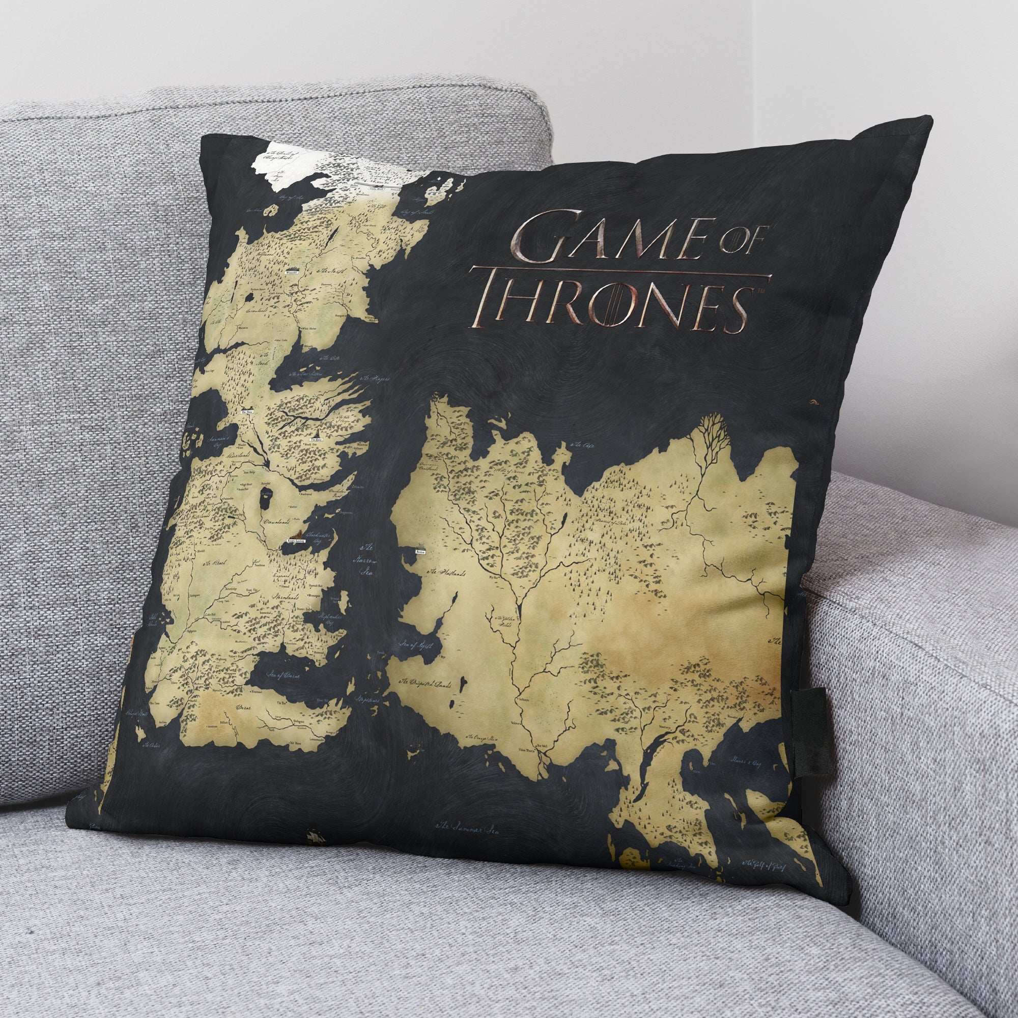 Housse de coussin 100% Coton 45x45 cm Game of Thrones B