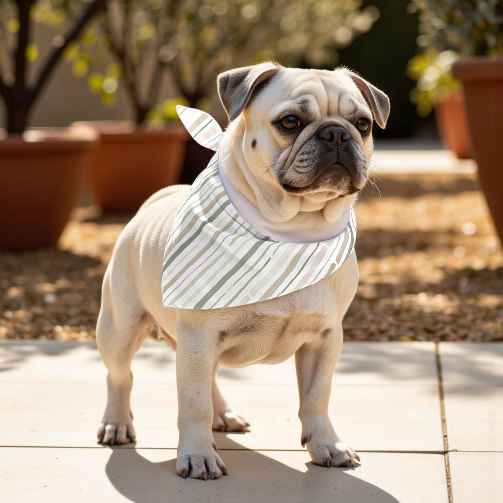 Pack 2 unidades bandana para mascotas BOCAIRENT C