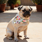 Pack 2 unidades bandana para mascotas BOO 924-5 HIGH