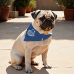 Pack 2 unidades bandana para mascotas DENIA