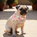 Pack 2 unidades bandana para mascotas DISS 1A