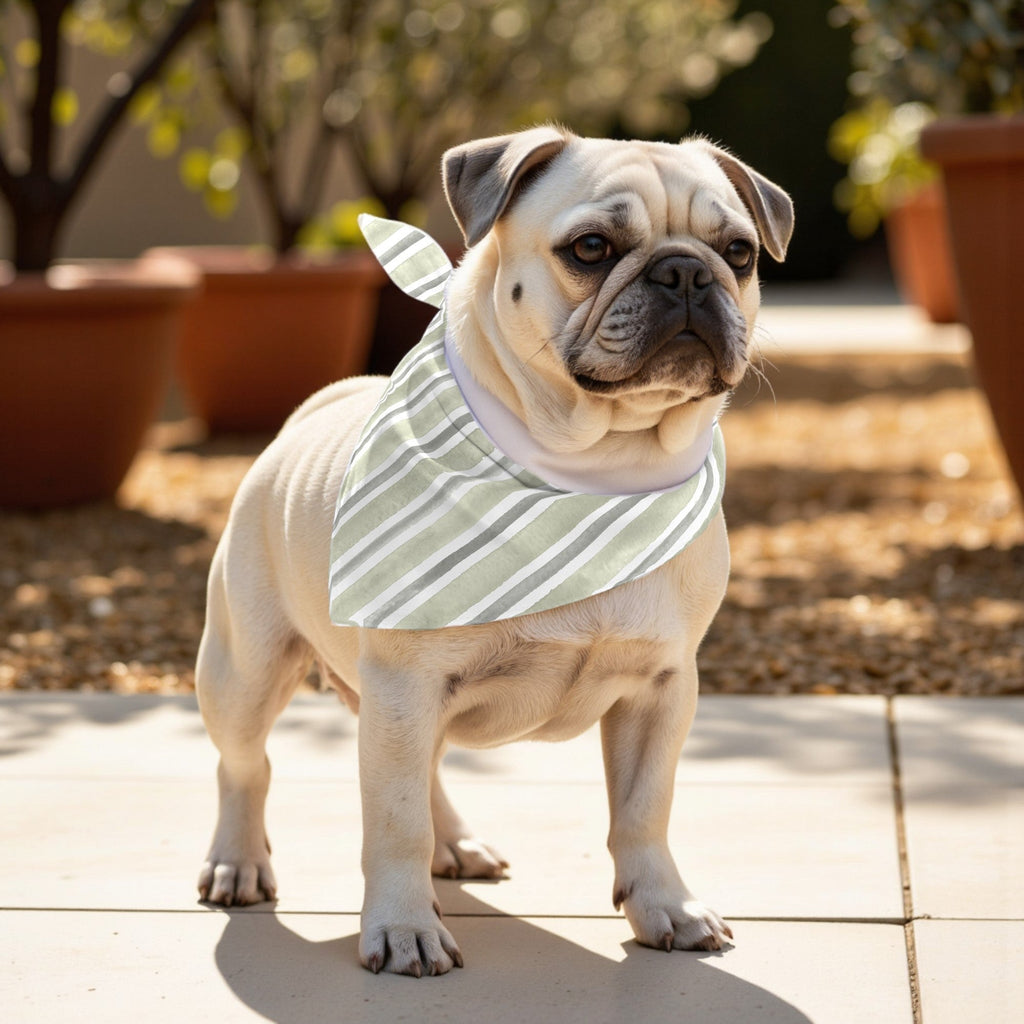 Pack 2 unidades bandana para mascotas KAN 125 2 DESERT SAGE COORD. 100