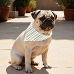 Pack 2 unidades bandana para mascotas KAN 125 2 DESERT SAGE COORD. 100