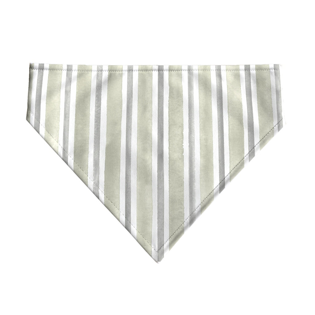 Pack 2 unidades bandana para mascotas KAN 125 2 DESERT SAGE COORD. 100