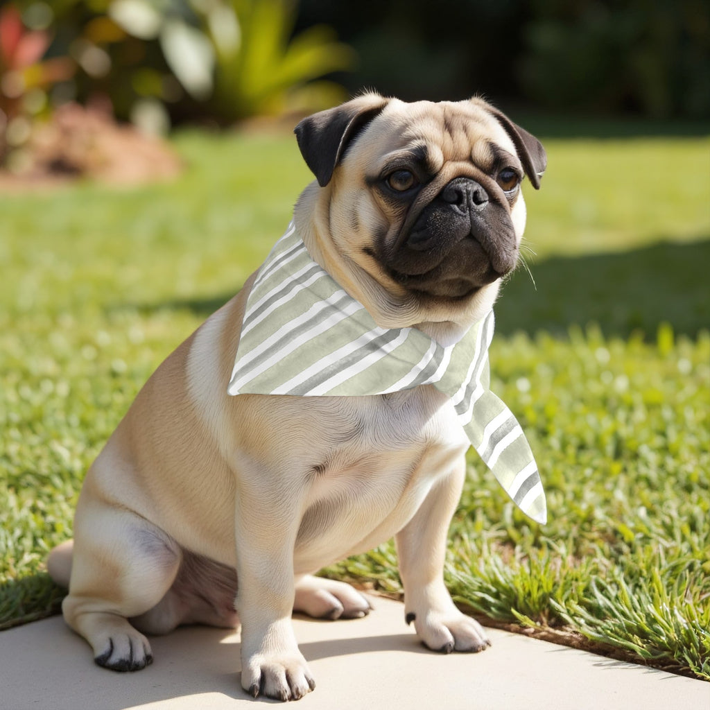 Pack 2 unidades bandana para mascotas KAN 125 2 DESERT SAGE COORD. 100