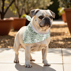 Pack 2 unidades bandana para mascotas NALIN 2