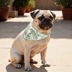 Pack 2 unidades bandana para mascotas NALIN 2