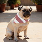 Pack 2 unidades bandana para mascotas TORROX GRANDE