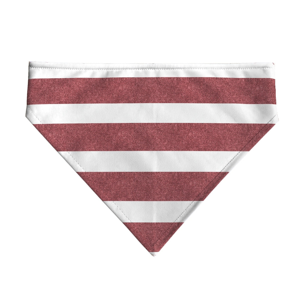 Pack 2 unidades bandana para mascotas TORROX GRANDE