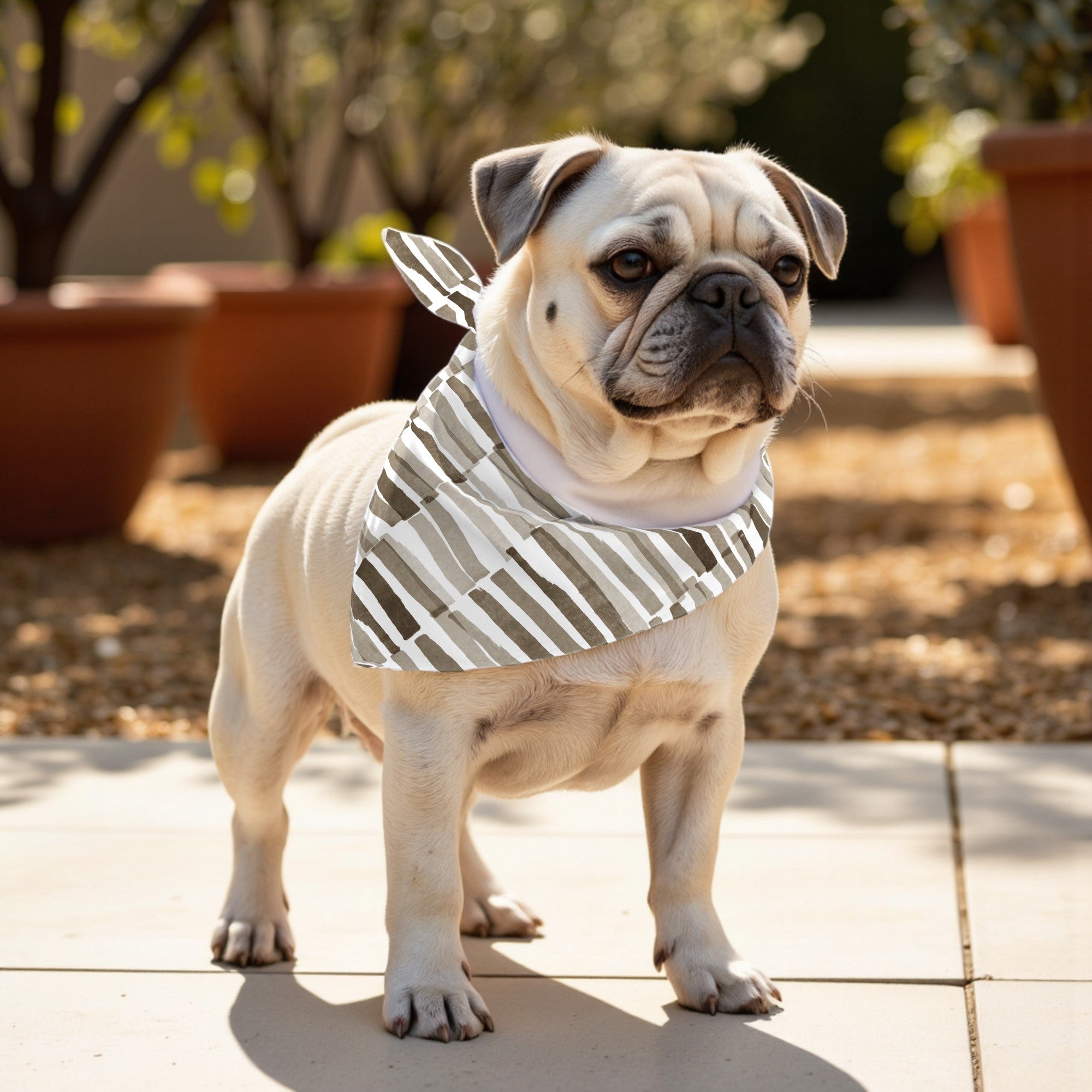 Pack 2 unidades bandana para mascotas XALÓ C